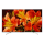 SONY KD85XF8596BAEP UHD - 1382164 - zdjęcie